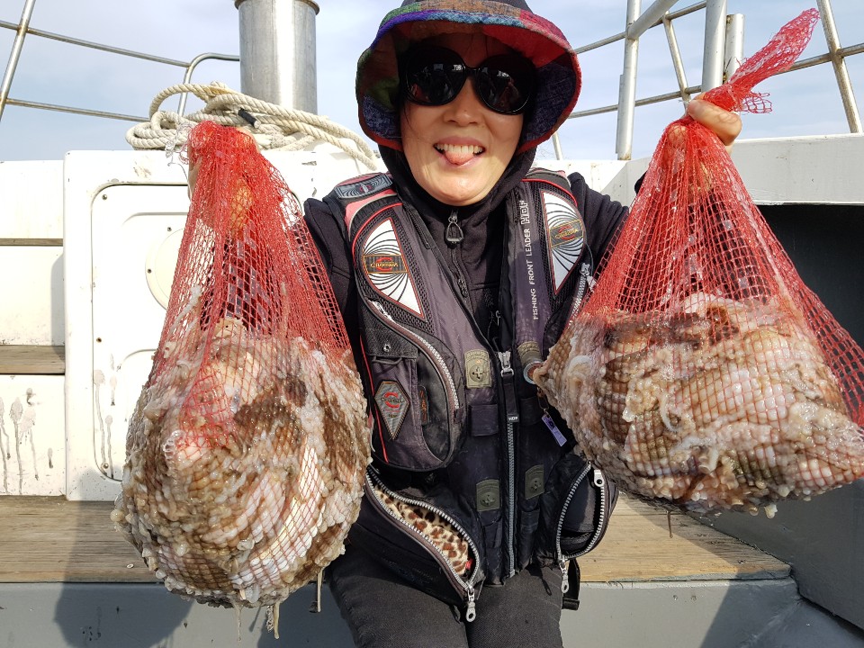 11월5일 청길호 쭈꾸미&갑오징어 망태기 조황!!