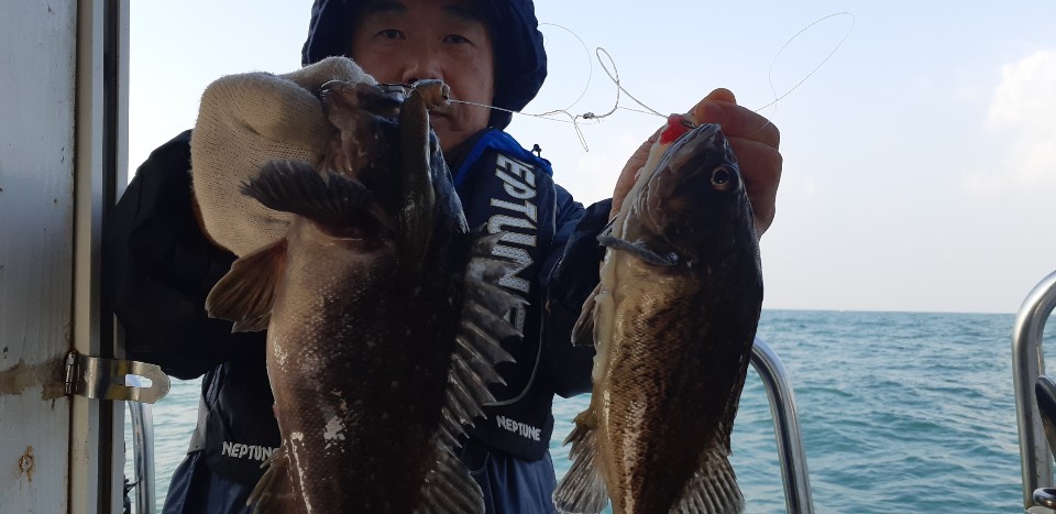 11월19일 승리호 왕우럭&광어 쿨러 조황!!