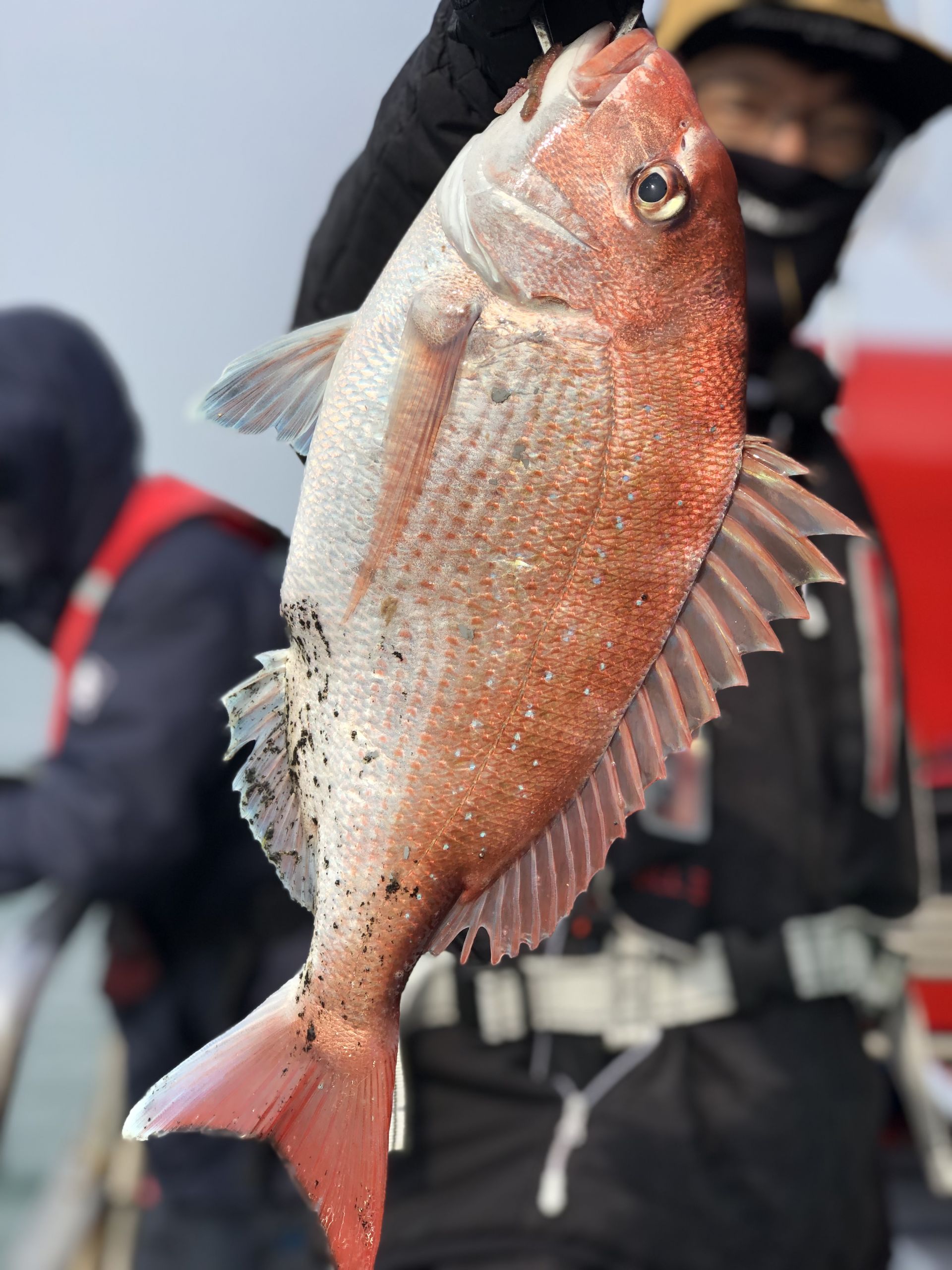 5월4일 한울피싱 첫 미녀와 만남을 축하합니다!!