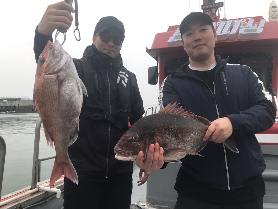 5월17일 한울피싱 참돔 씨알 굿~~ 마릿수 만~족~한 조황!!