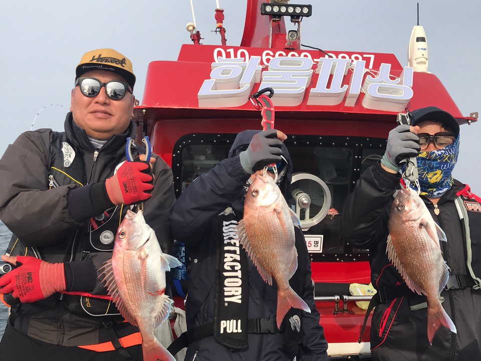 5월30일 한울피싱 참돔 타이러버 조황!!