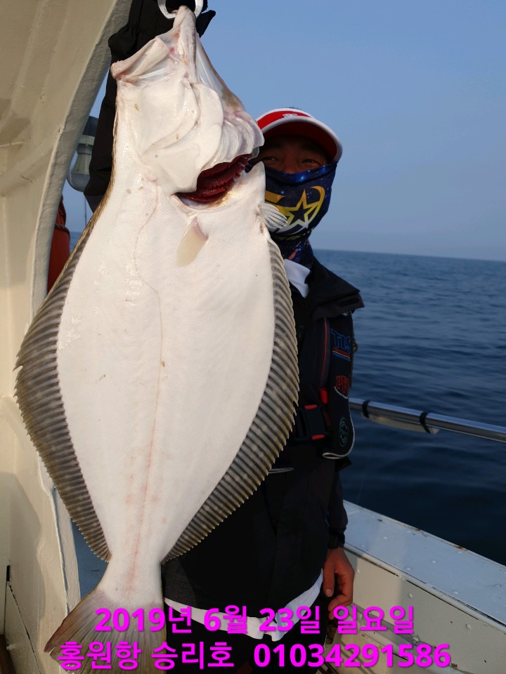 6월23일 승리호 왕 초보들과 함께한 생미끼 조황!!