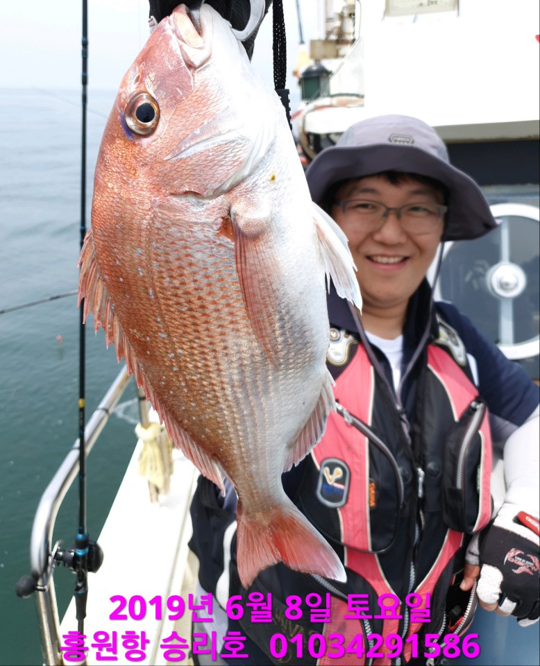 6/8 승리호 참돔 단체출조 조황!!