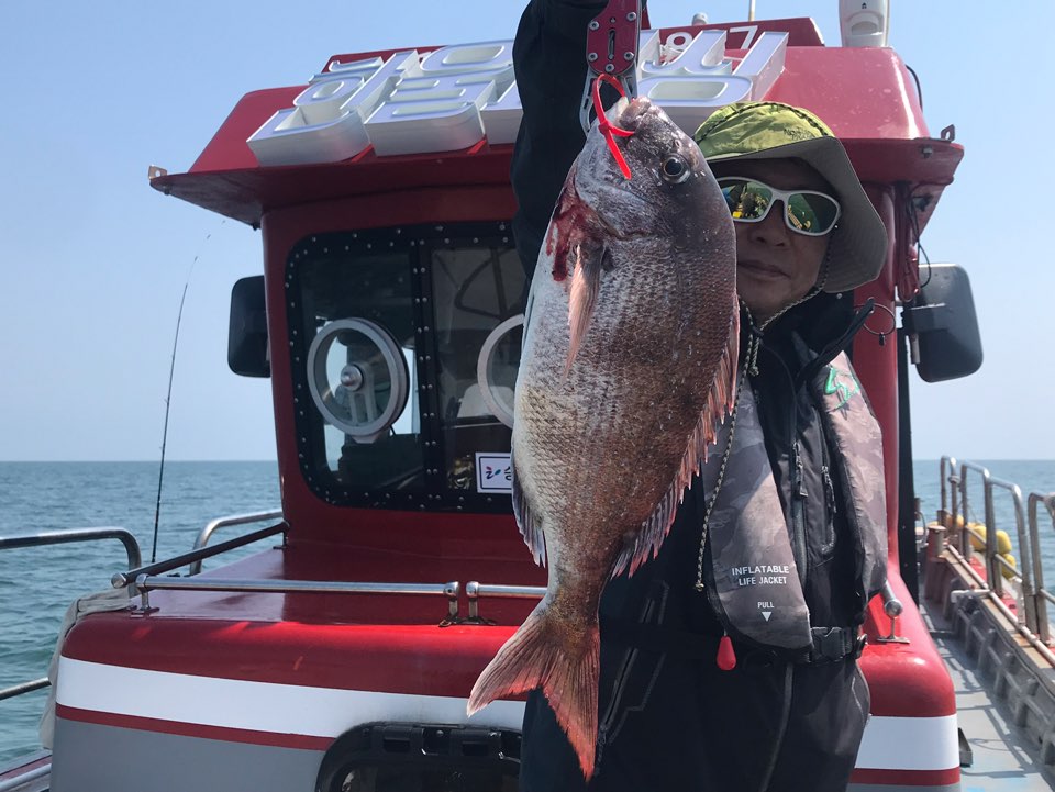 6월12일 한울피싱 참돔 타이러버 조황!!