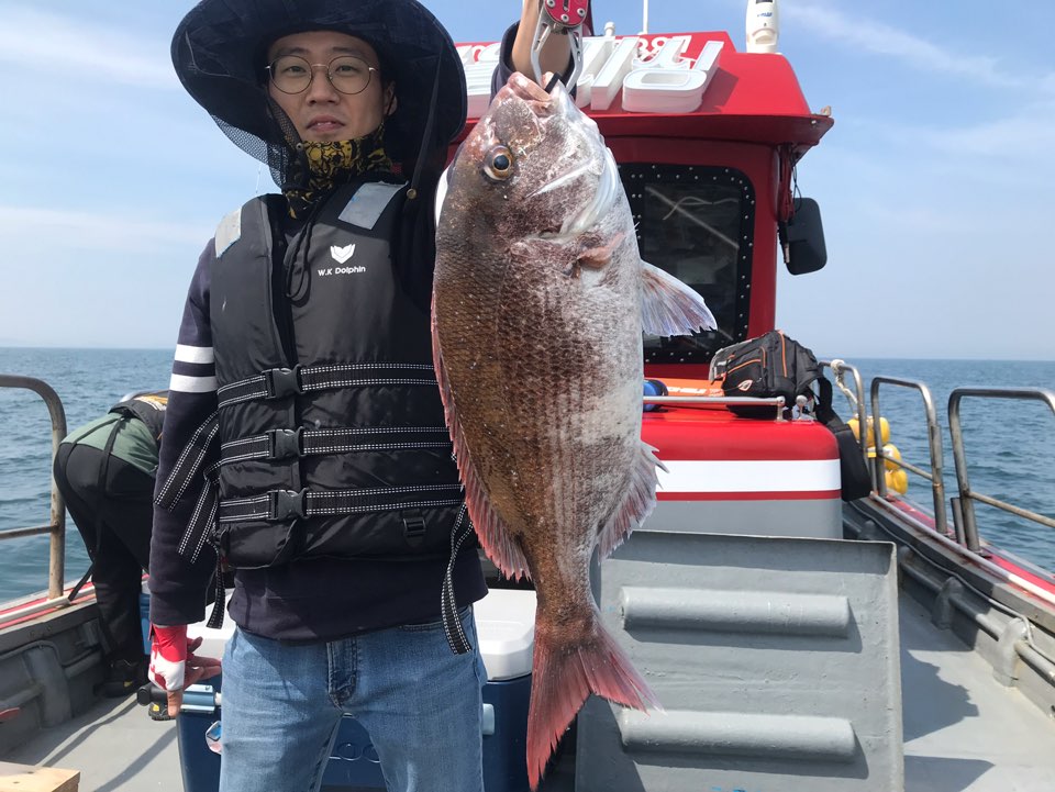 6월13일 한울피싱 참돔 타이러버 조황!!