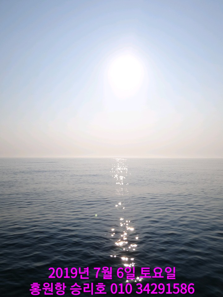 7월6일 승리호 생미끼 조황입니다!!