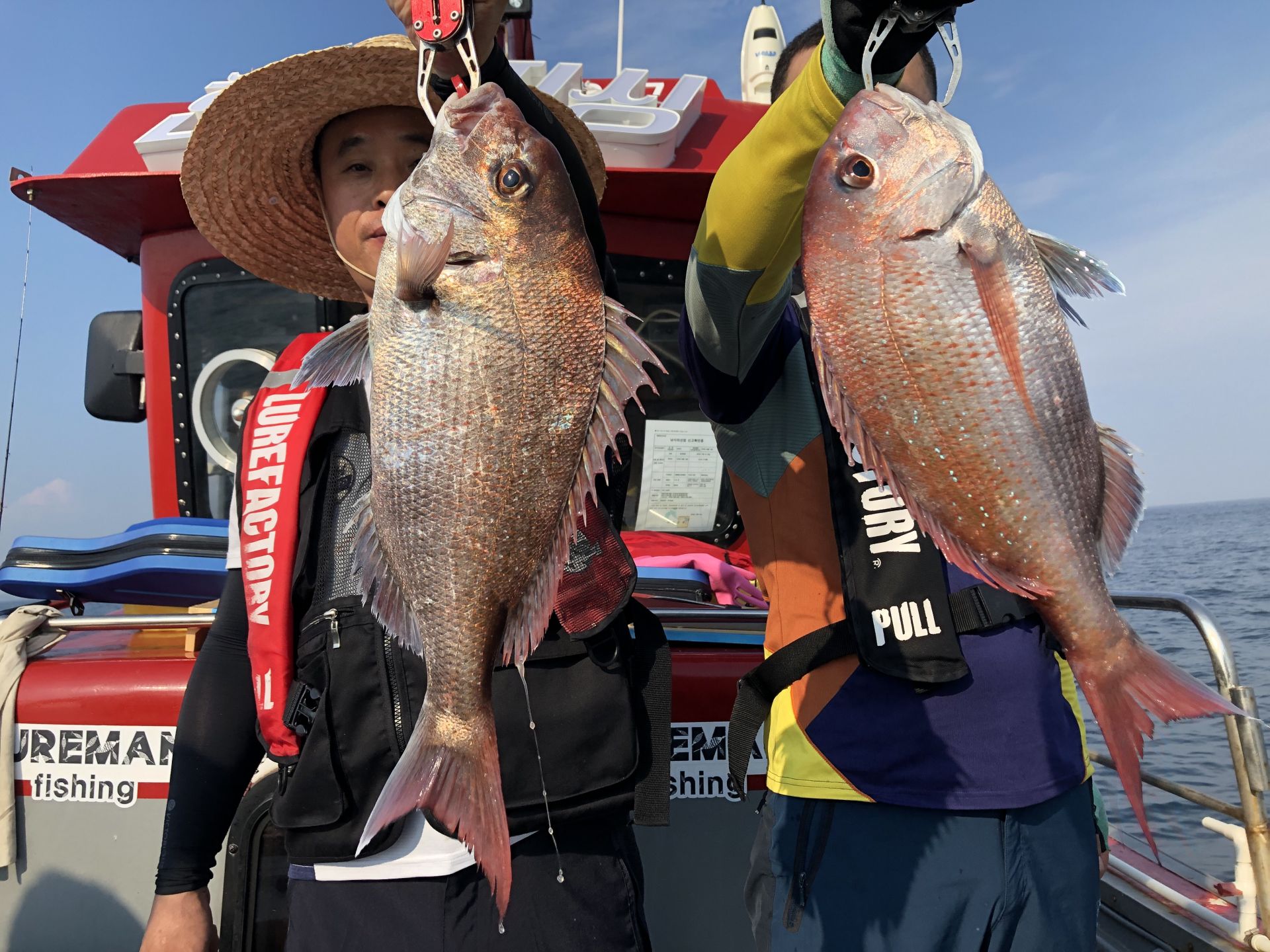 8월3일 한울피싱 참돔 타이러버 조황!!
