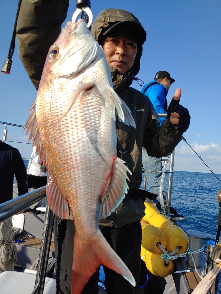 8월30일 홍원항 요포선단 펠릭스 마린 강한 바람과 너울속에서도 씨알좋은 참돔 조황입니다!!