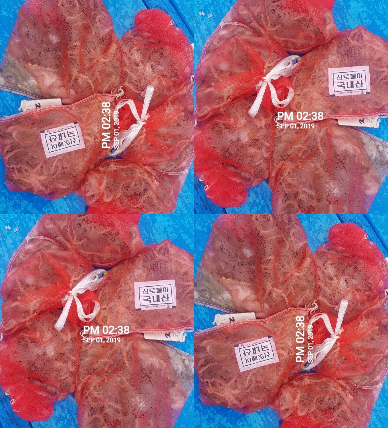 홍원항 요포선단 장진호 9월1일 ~첫출조~ 반가워요 쭈꾸미 조황입니다!!