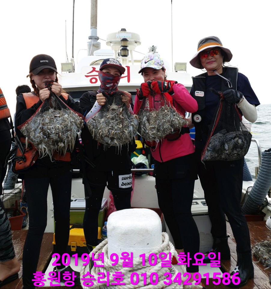 9월10일 홍원항 요포선단 승리호 쭈꾸미&갑오징어 강풍과 파도속에서도 빵~빵~한 망태기 조황입니다!!