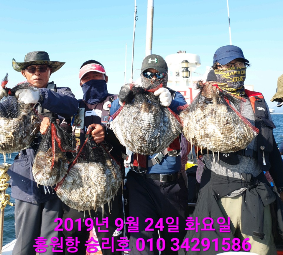 9월24일 홍원항 **요포선단**  승리호 갑오징어 & 쭈꾸미 망태기는 오늘도 전원 홈~런~성 조황입니다!!