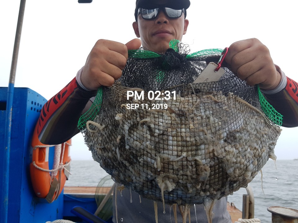 9월11일 홍원항 요포선단 ~장진호~ 쭈꾸미 & 갑오징어 전원 완~벽~~한 망태기 조황입니다!!