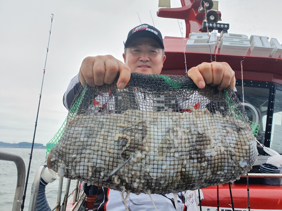 9월6일 홍원항 요포선단 한울피싱 쭈꾸미&갑오징어 완~벽~한 망태기 조황입니다!!