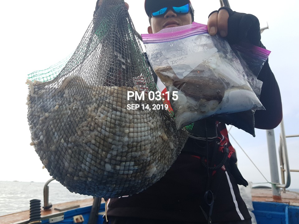 9월14일 홍원항 요포선단 장진호 쭈꾸미&갑오징어 망태기는 풍~년~~ 조황입니다!!