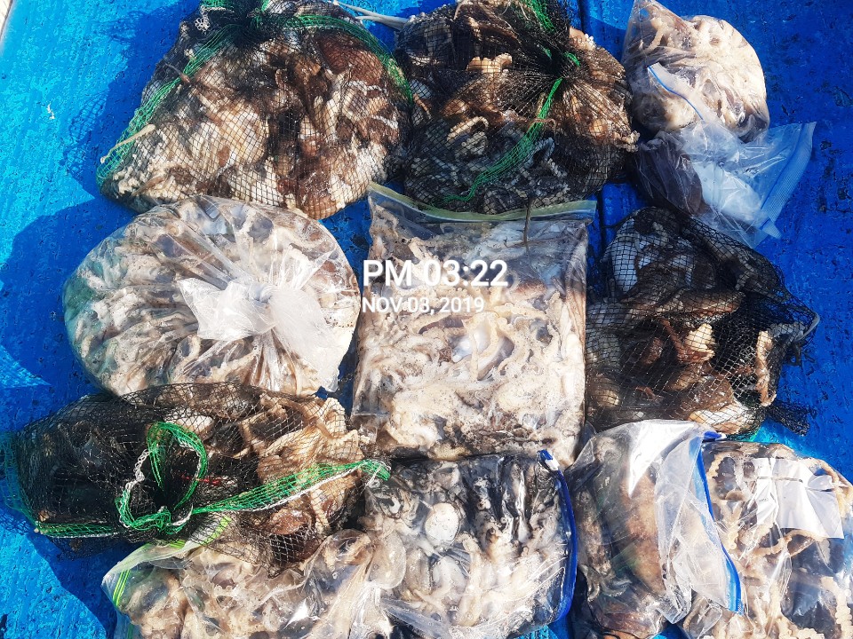 11월3일 홍원항ㄹ **요포선단** (장진호) 오늘도 갑오징어&쭈꾸미 망태기는 대~만~족 조황입니다!!