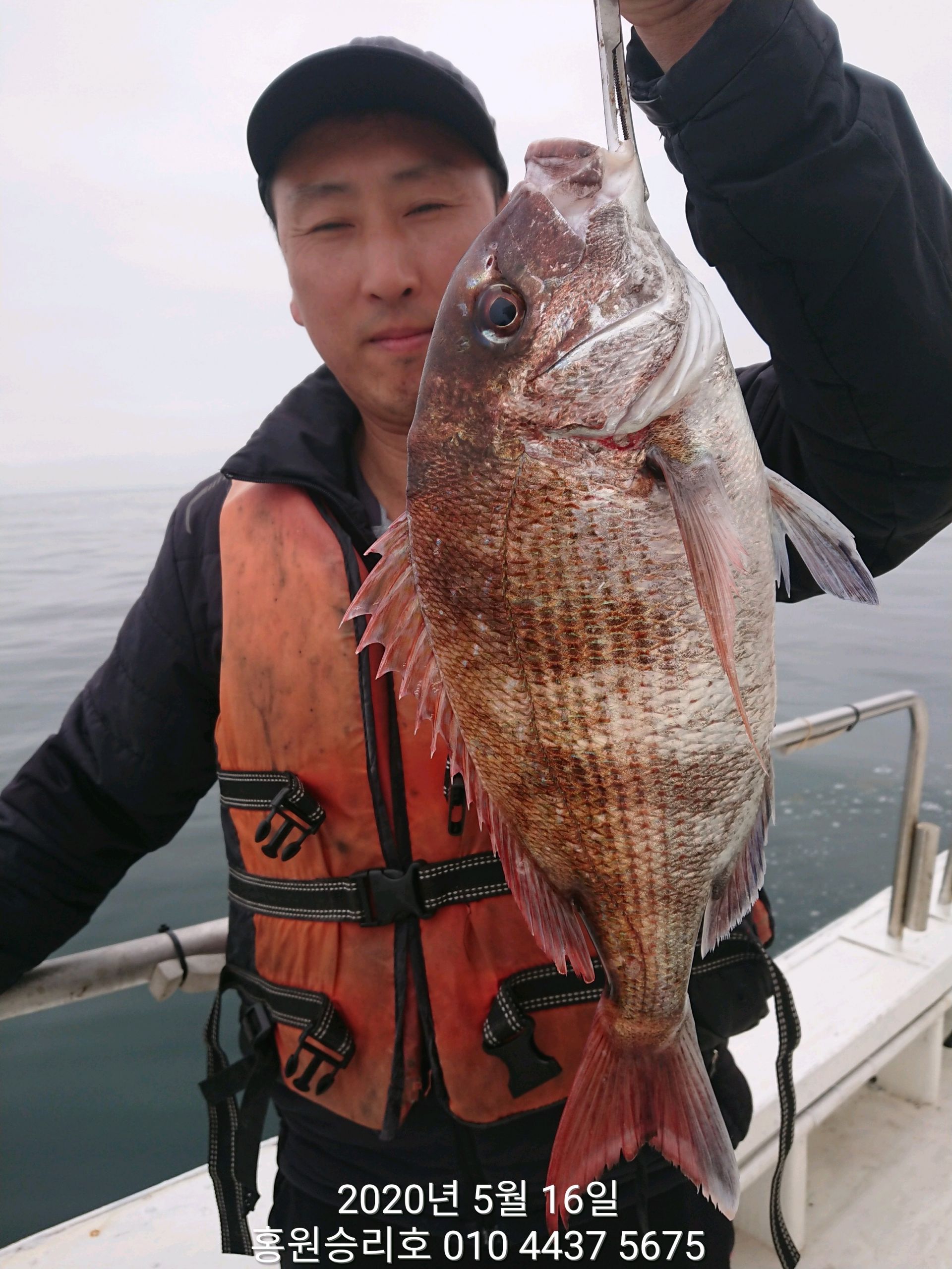 5월16일 요포선단(승리호) 첫출조 탐사조황!!