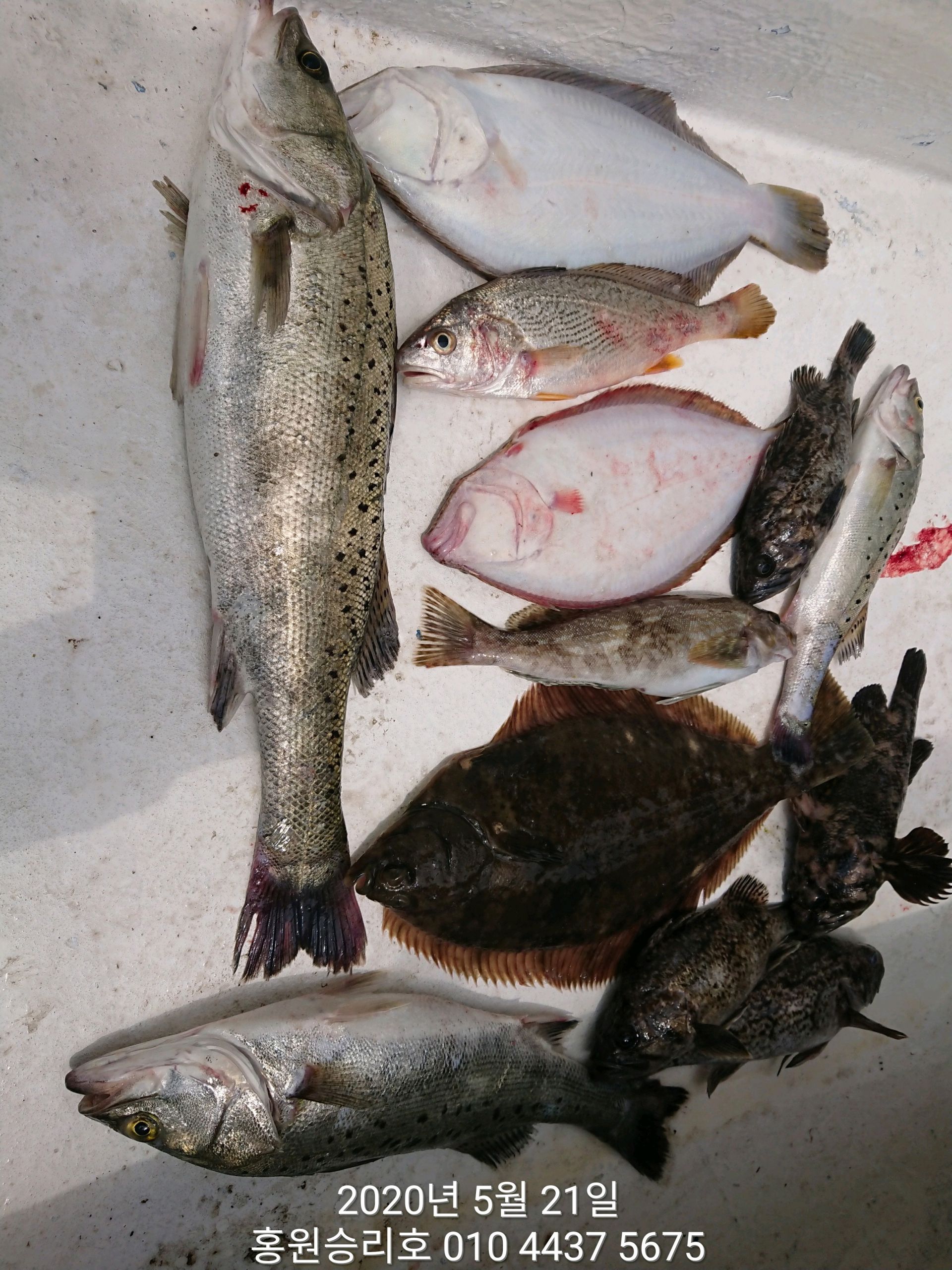 5월21일 ~대박~ 이벤트전 승리호 선장님 1인 포인트 탐사!!