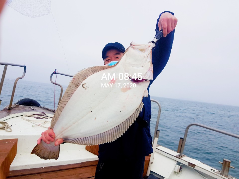 5월17일 요포선단 (장진호) 선장님 대광어!!