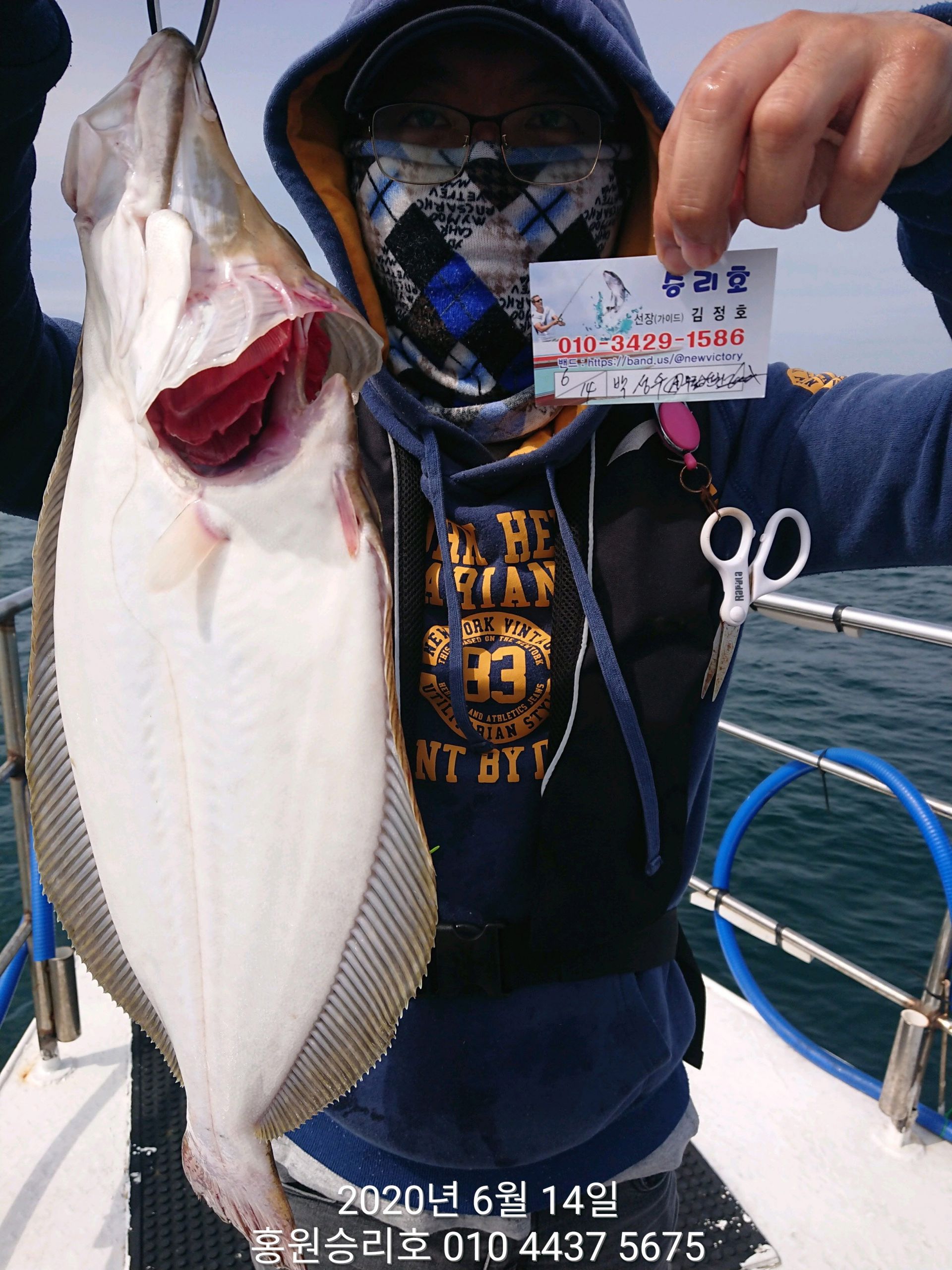 6월14일 홍원항 (승리호) ~~대박~~ 이벤트 생미끼 출조 조황입니다!!