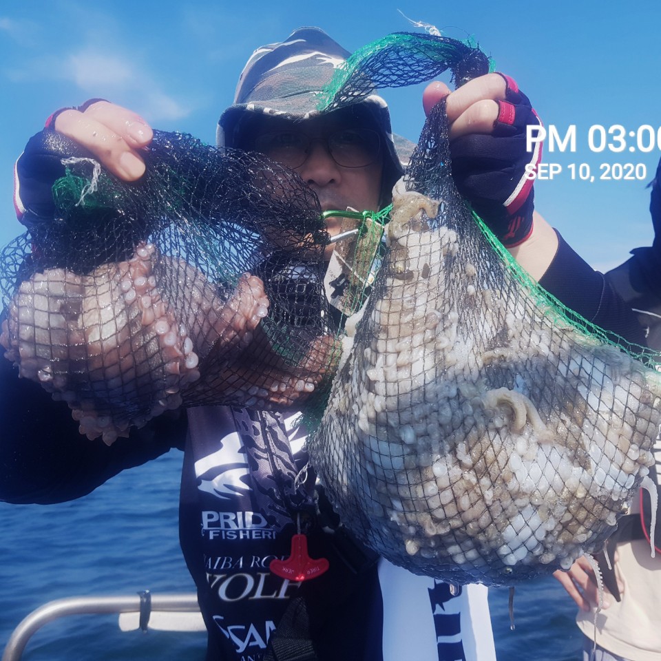 ***쭈꾸미*** 낚시의 원조  (홍원항 ) *장진호*    1인 2망태기 조황!! 왕문어는 ~뽀너스~