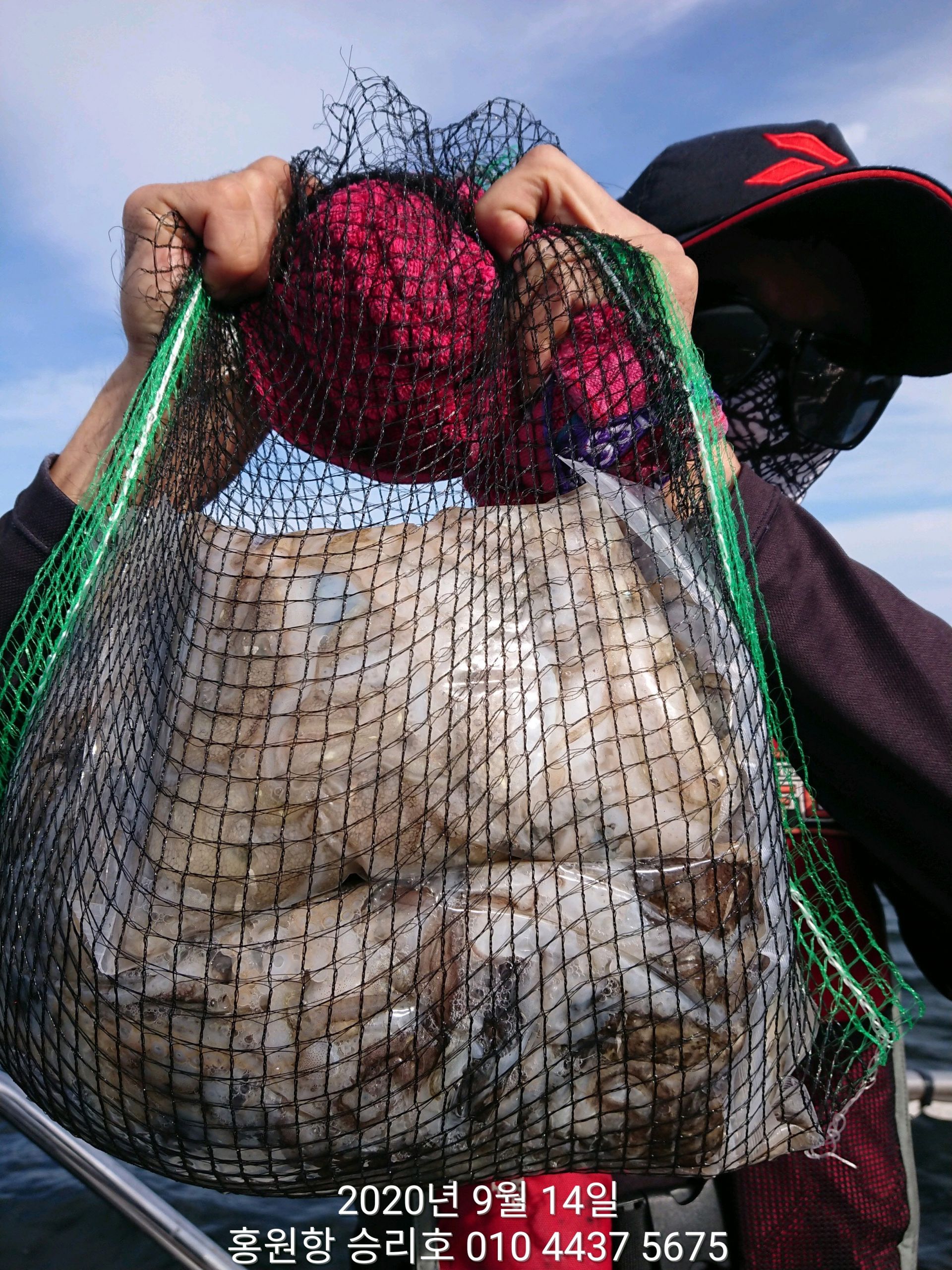 9월14일 **쭈꾸미**  낚시의 원조 (홍원항)~승리호~ 단체출조도 쭈꾸미 망태기는 만~족~한  조황!!