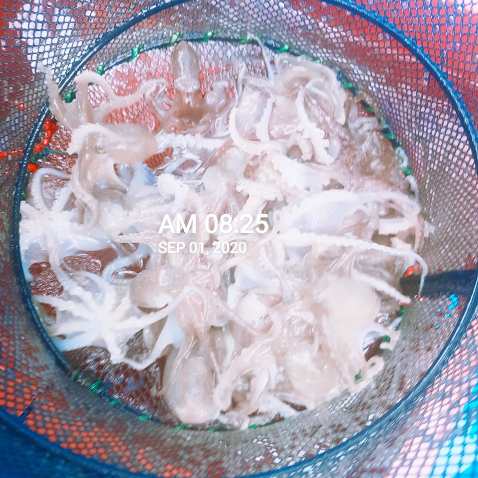 홍원항 **요포선단** (장진호) 9월1일 선장님 1인 2시간  조황!!