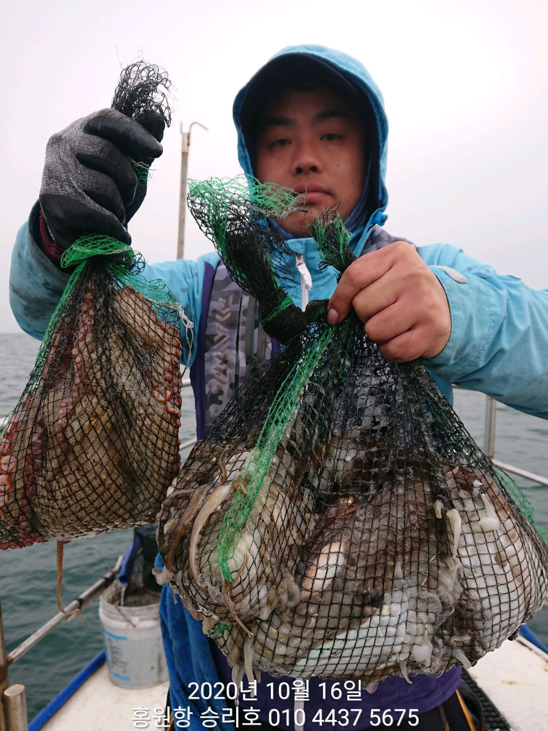 ***쭈꾸미*** 낚시의 원조 ((홍원항)) 요포선단 ~승리호~ 10월16일 쭈꾸미&갑오징어 망탱이 조황!!