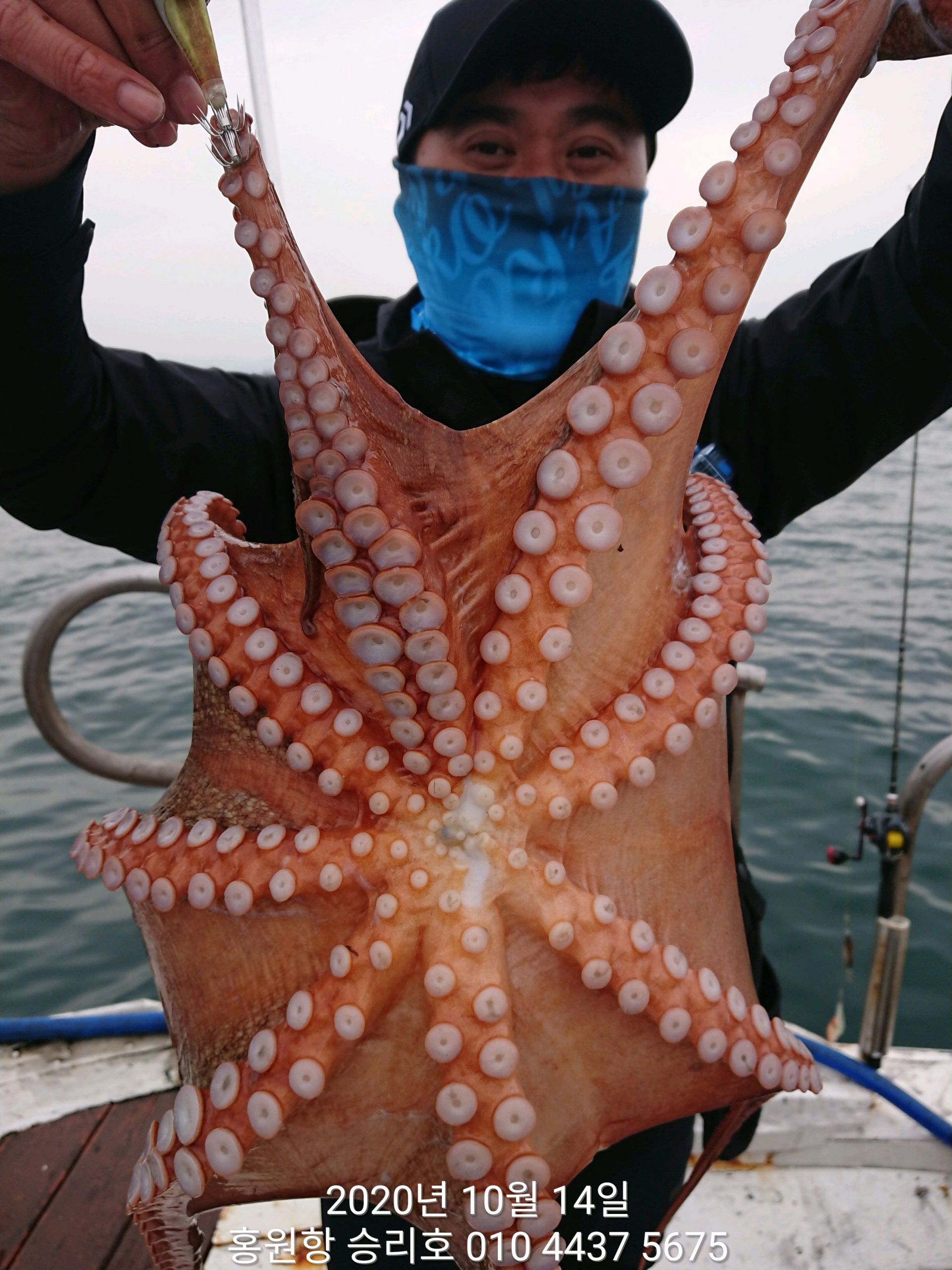 ***쭈꾸미*** 낚시의 원조 ((홍원항)) 요포선단 ~승리호~ 10월14일 쭈꾸미&갑오징어 망탱이 조황!!