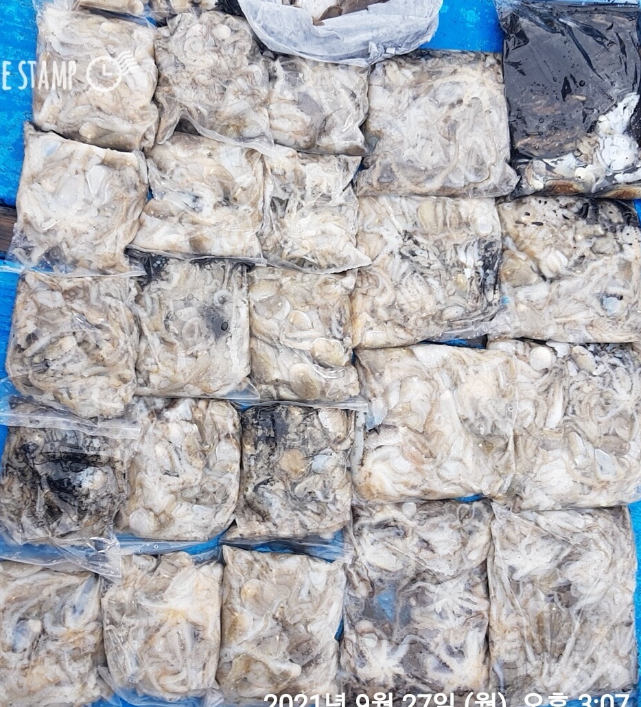 *****2분의 부.부 조사님의 반~란~~~홍원항 ~제1선단~  장진호 갑&쭈 9/27 대~대~박~~ 조황