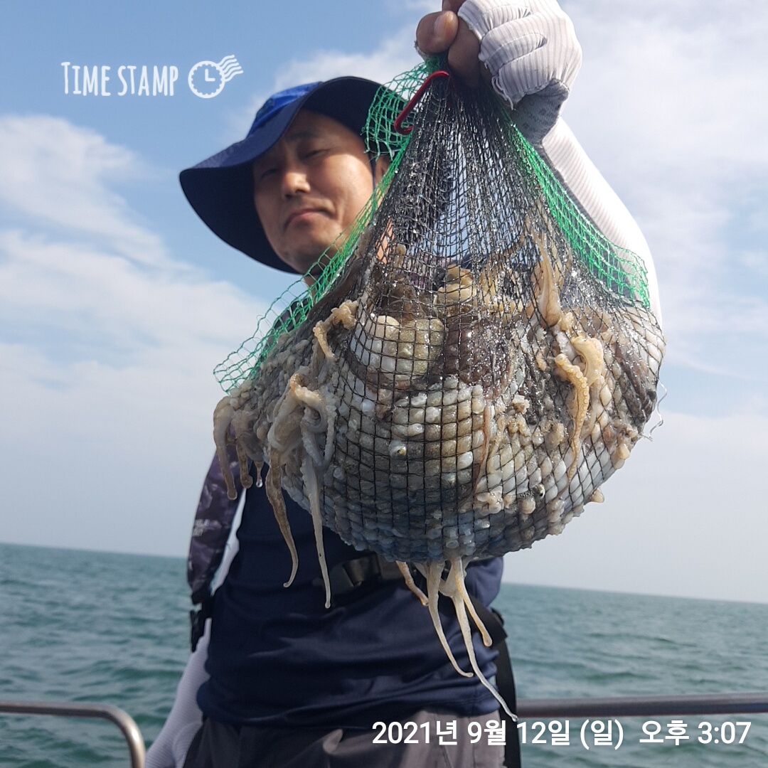 9월12일 장진호 조황정보