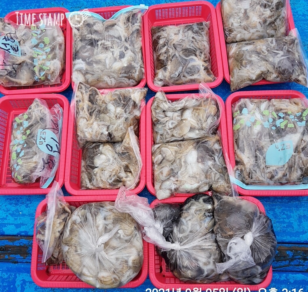 9월5일 홍원항 요포낚시 ((제1선단))  장진호 **쭈꾸미&갑오징어** 만~족~한 조황입니다!!