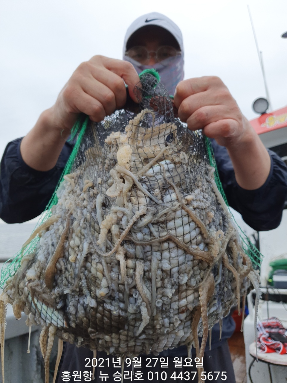 *쭈꾸미*낚시의 원조 (홍원항)요포선단^^위풍당당^^ 뉴~승리호  9월27일 쭈꾸미&갑오징어 망탱이 조황!!
