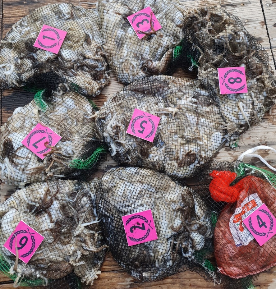 ^^^위풍당당^^^ 홍원항 요포선단 ((뉴~승리호)) 9월9일 *쭈꾸미&갑오징어*  8인의 망태기조황!!