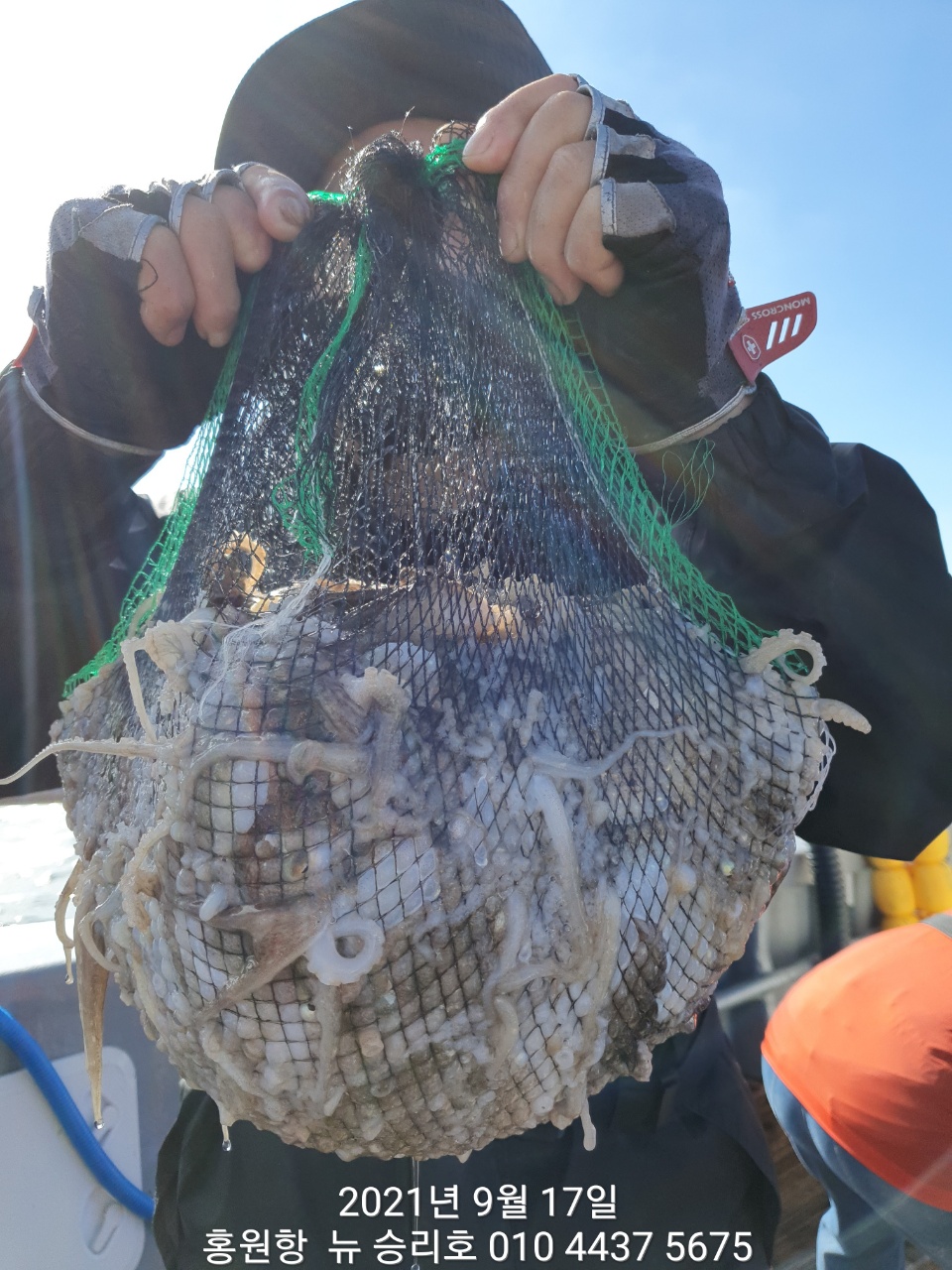 9/17 홍원항 ^^위풍당당^^ 뉴~승리호 갑오징어&쭈꾸미 엄~청~난 조황!!  **추석당일 정상출조!!**