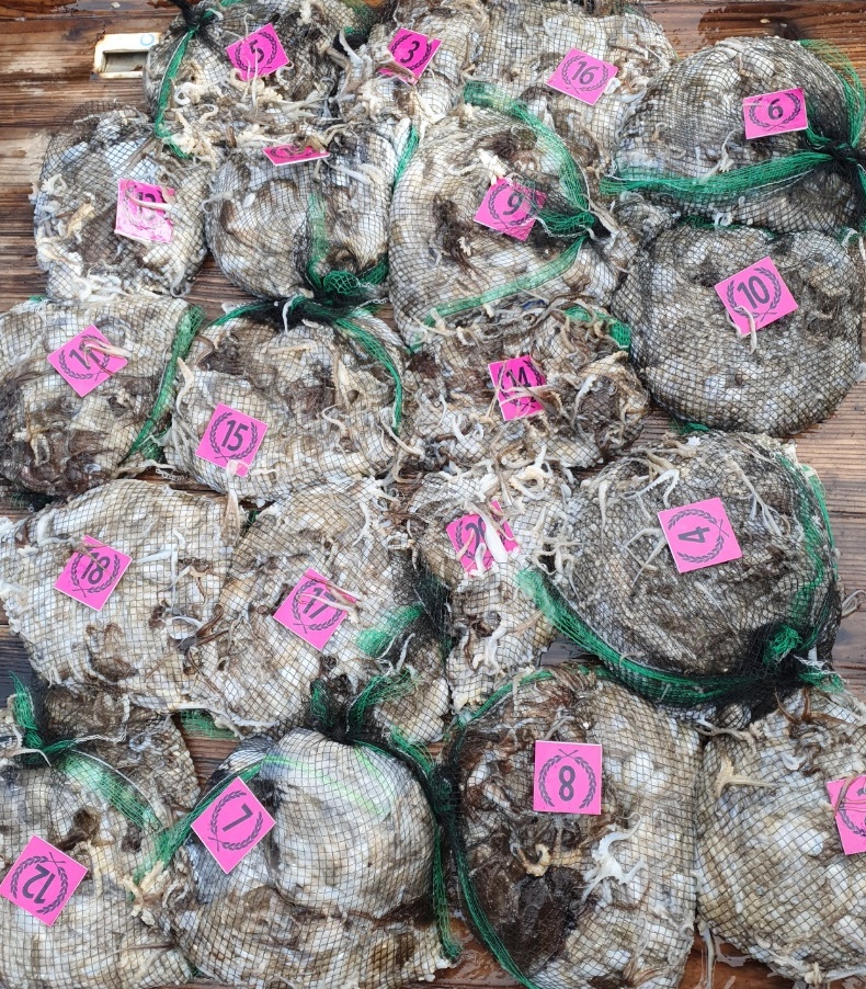 ~쭈꾸미~ 낚시의 원조 (홍원항) 요포선단 ^위풍당당^ 뉴~승리호 9/16 완~벽~한 망태기 조황입니다!!