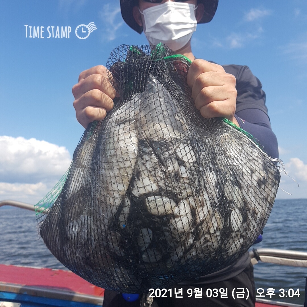 9월3일 홍원항 (요포선단) ~제1선단~ 장진호 쭈꾸미&갑오징어 망태기는 만~족~한 조황입니다!!