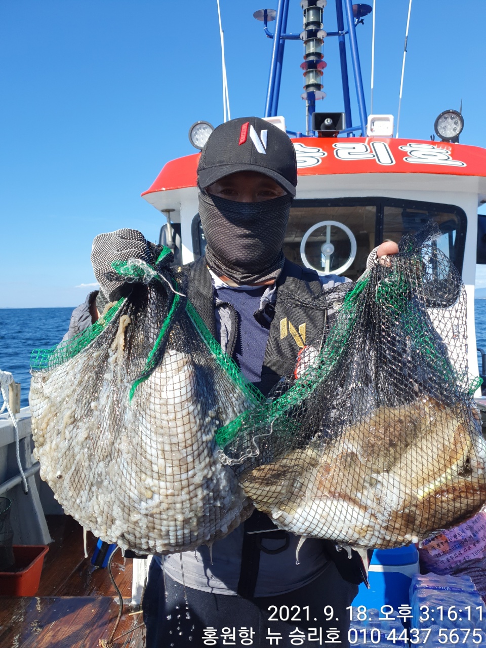 **쭈꾸미**낚시의 (원조) 홍원항 요포낚시 ^^위풍당당^^ 뉴~승리호 9/18 1인 2망태기 조황입니다!!
