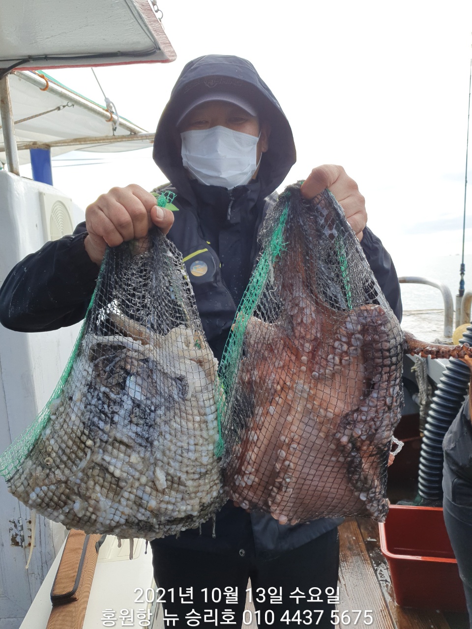 *쭈꾸미* 낚시의 원조 (홍원항) 요포선단 ^위풍당당^ 뉴~승리호 10/13 쭈꾸미&갑오징어 망탱이 조황!!