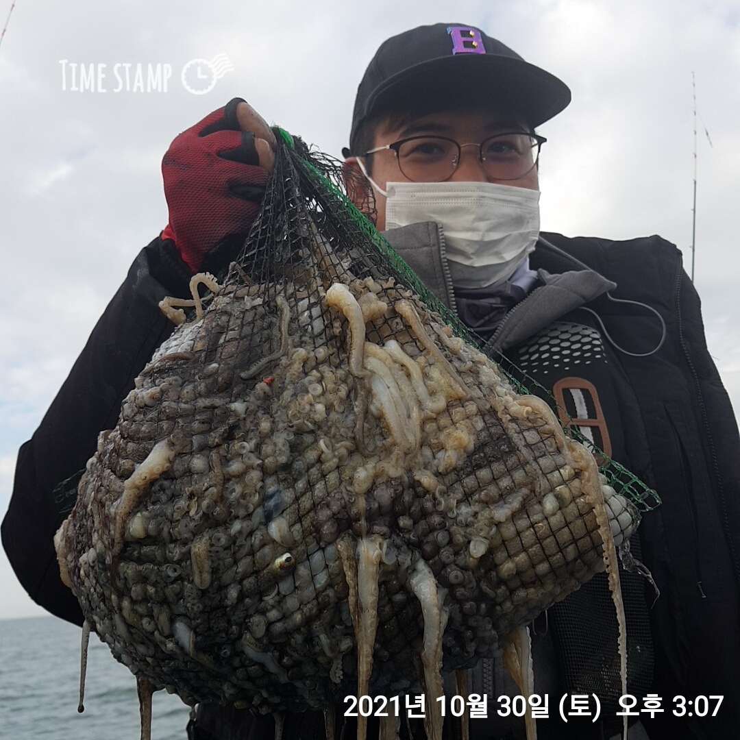 *쭈꾸미*낚시의 원조 (홍원항) 요포선단 ~제1선단~ 장진호 10/30 갑오징어&쭈꾸미 조황입니다!!