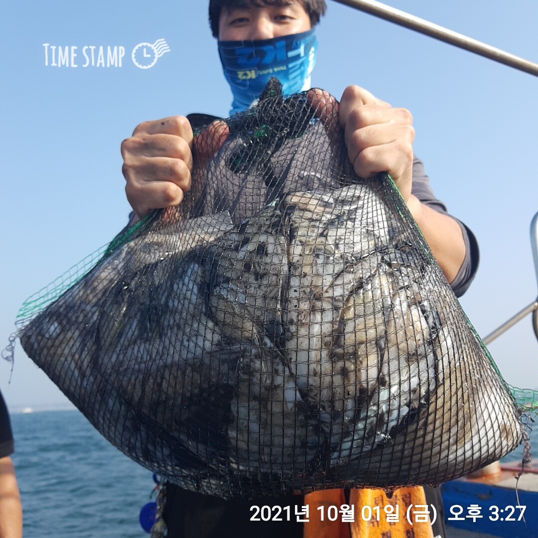 ***쭈꾸미*** 낚시의 (원조)홍원항 요포낚시 ~제1선단~ 장진호 10/1쭈&갑 빵~빵~망태기 조황!!