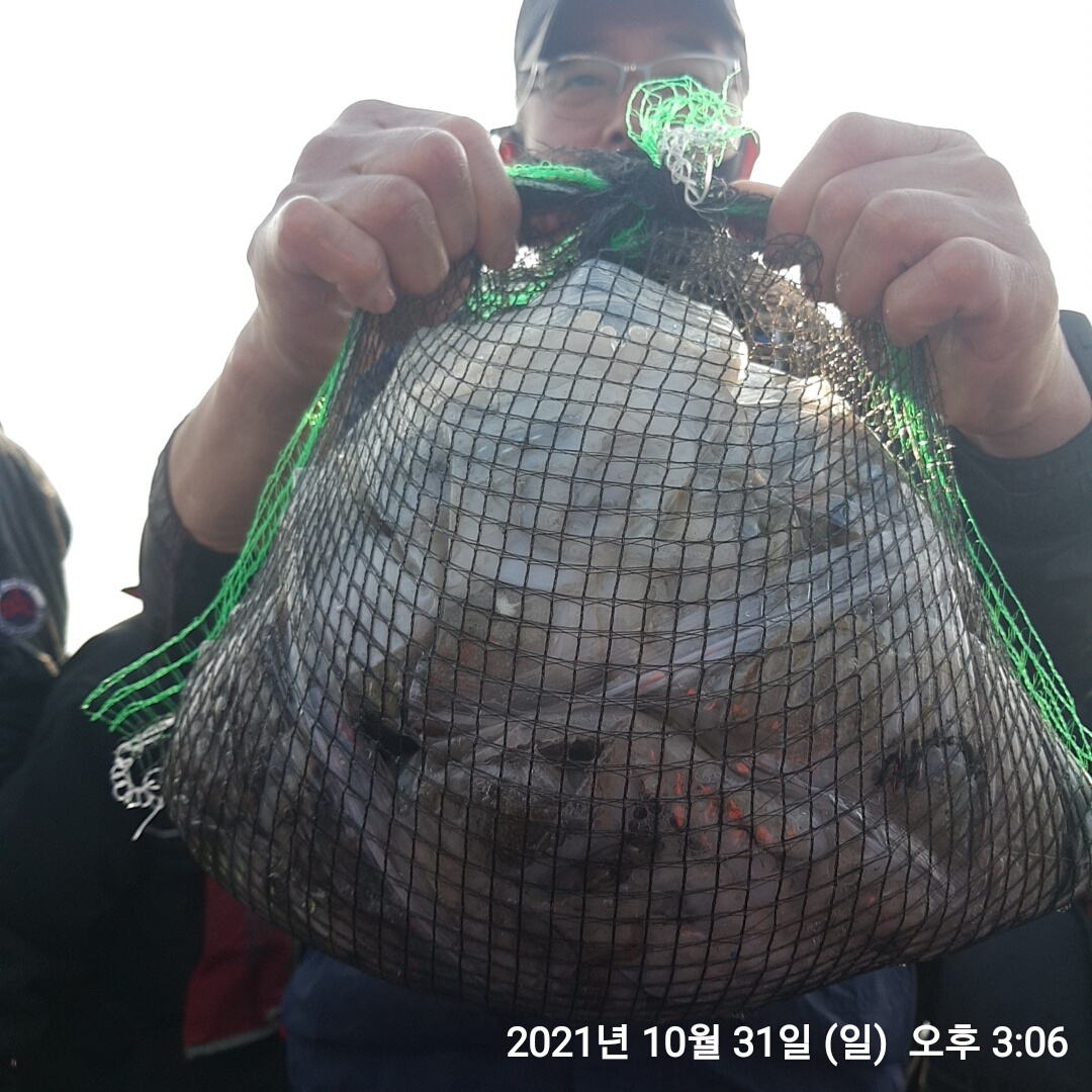 10월31일 홍원황 요포선단 ~제1선단~ 장진호  갑오징어&쭈꾸미 대~박~ 망태기 조황!!
