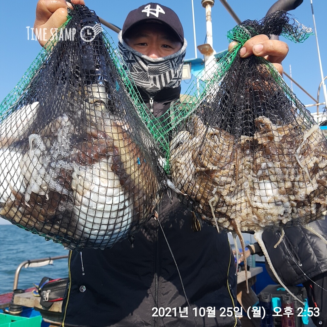 *쭈꾸미* 낚시의 원조 (홍원항) 요포선단 ~제1선단~장진호 10/25  갑오징어& 쭈꾸미 조황입니다!!