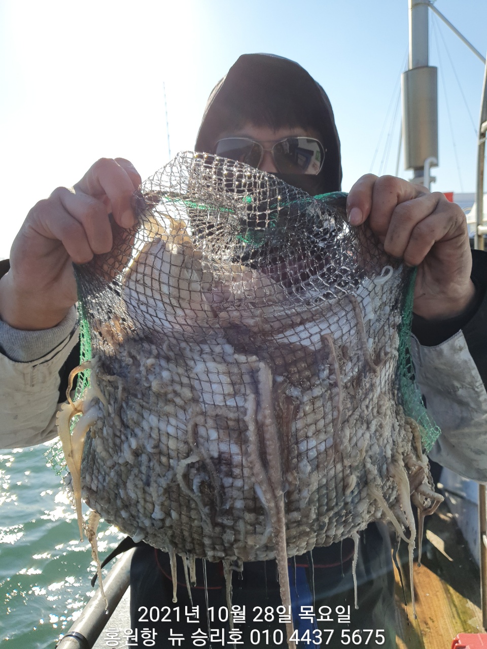 **쭈꾸미** 낚시의 원조 (홍원항) 요포선단^위풍당당^ 뉴~승리호10/28갑오징어&쭈꾸미 망탱이 조황!!