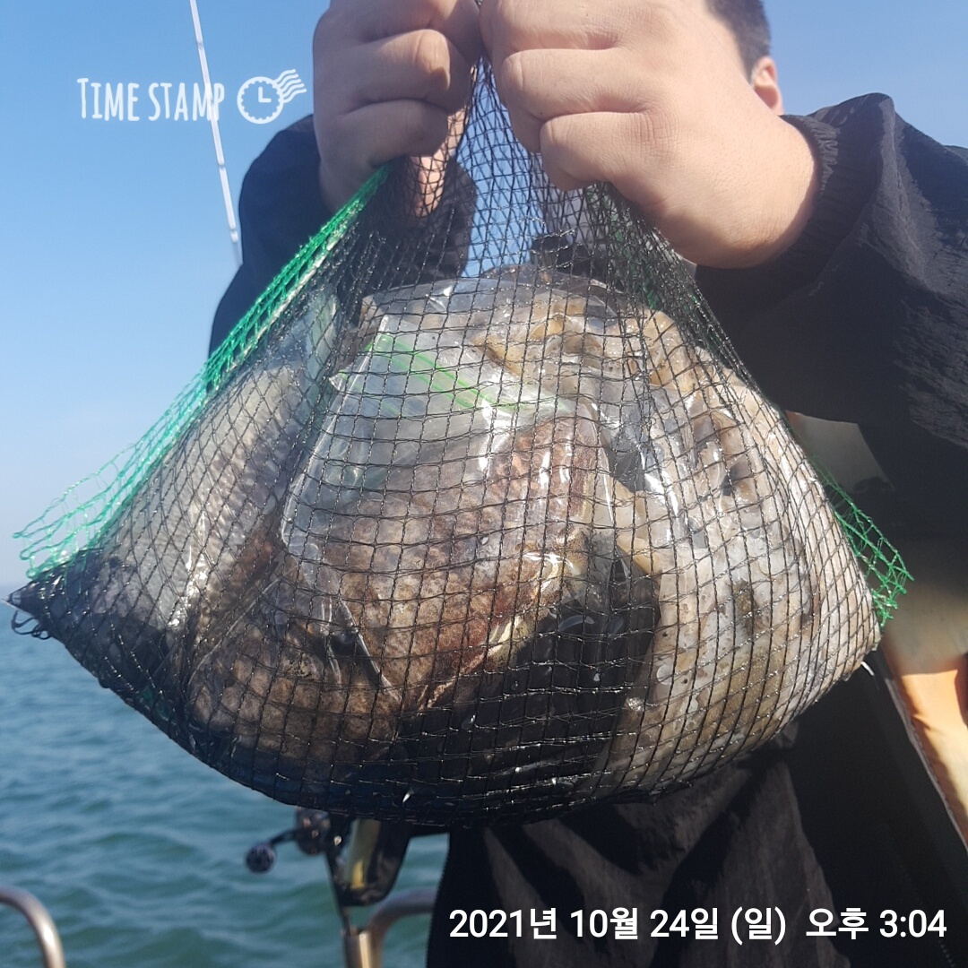 ***다시 살아난*** 갑오징어&꾸꾸미 망태기조황!! 홍원항 장진호 10/24일 조황!!