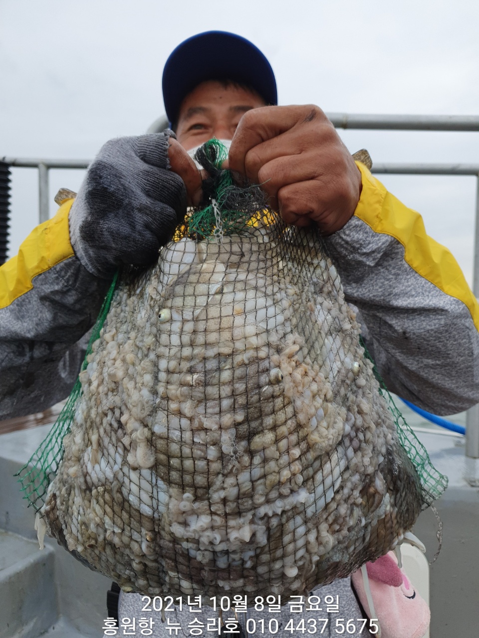 *쭈꾸미* 낚시의 원조 (홍원항) 요포선단 ^위풍당당^  뉴~승리호 10/8 쭈꾸미&갑오징어 망탱이 조황!!