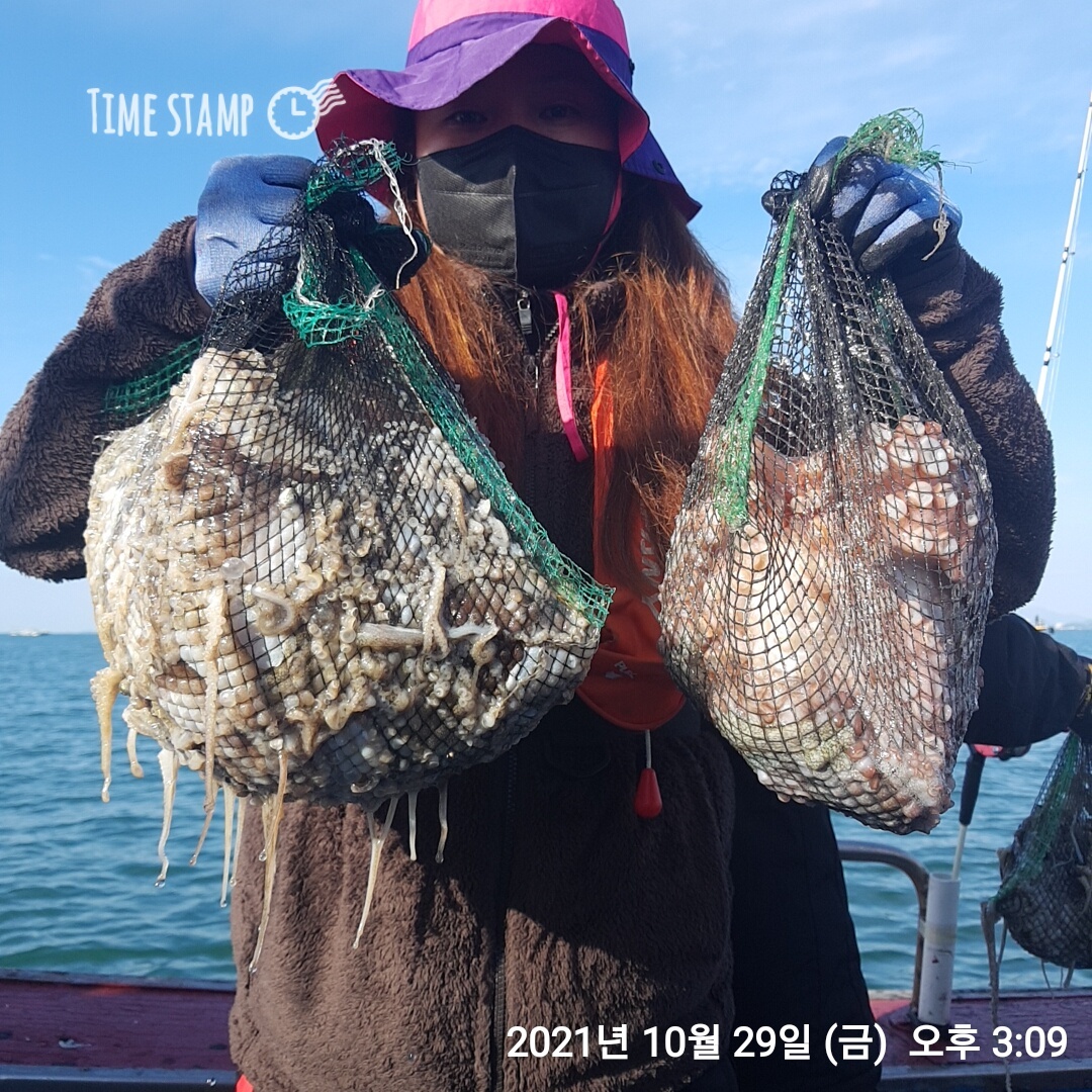 *쭈꾸미* 낚시의 원조 (홍원항) 요포선단 ~제1선단~장진호10/29 갑오징어& 쭈꾸미 조황입니다!!