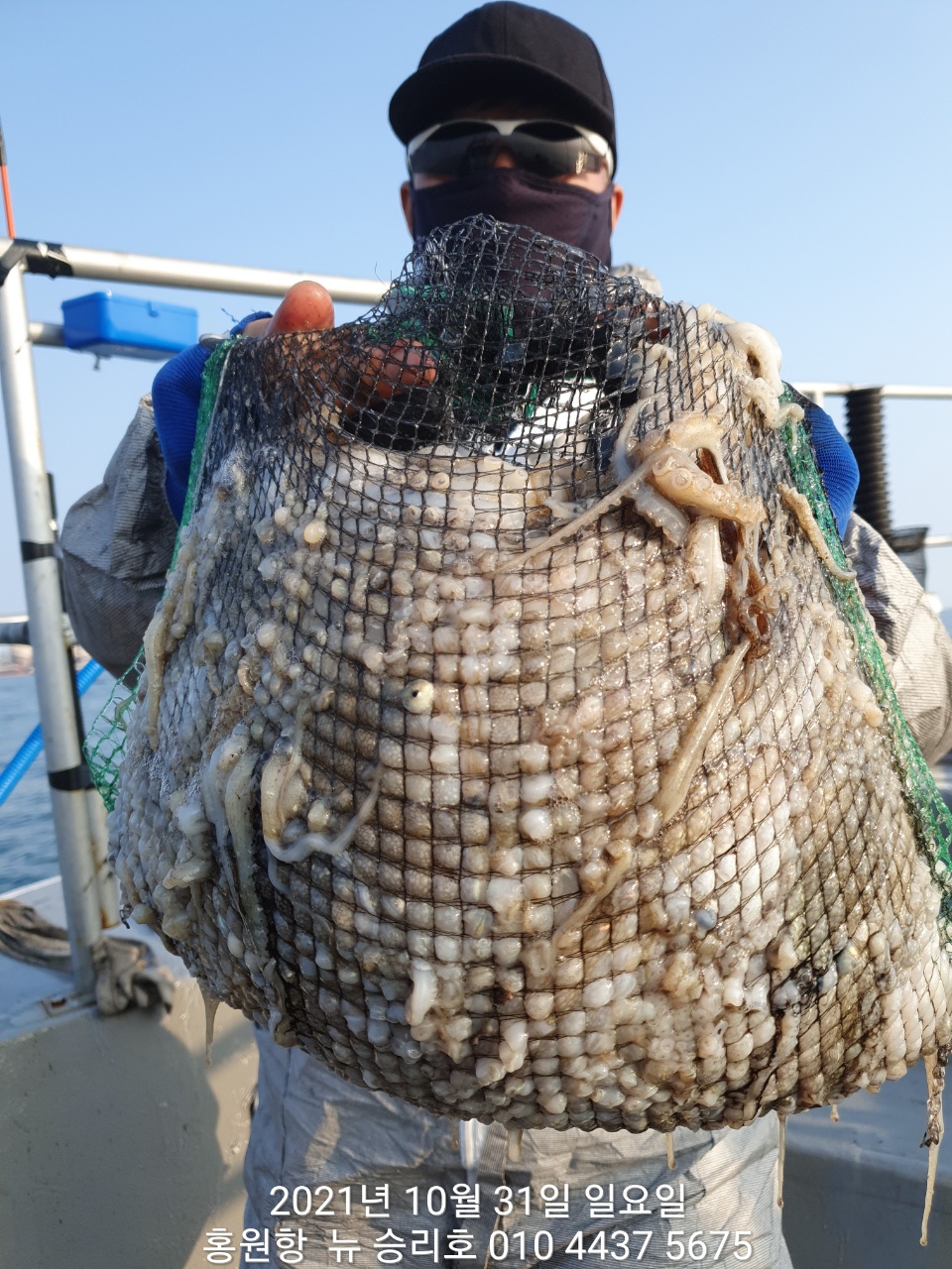 10월31일 홍원항 요포선단 ^^위풍당당^^ 뉴~ 승리호 갑오징어&쭈꾸미 1인 2망태기 대~박~ 조황!!