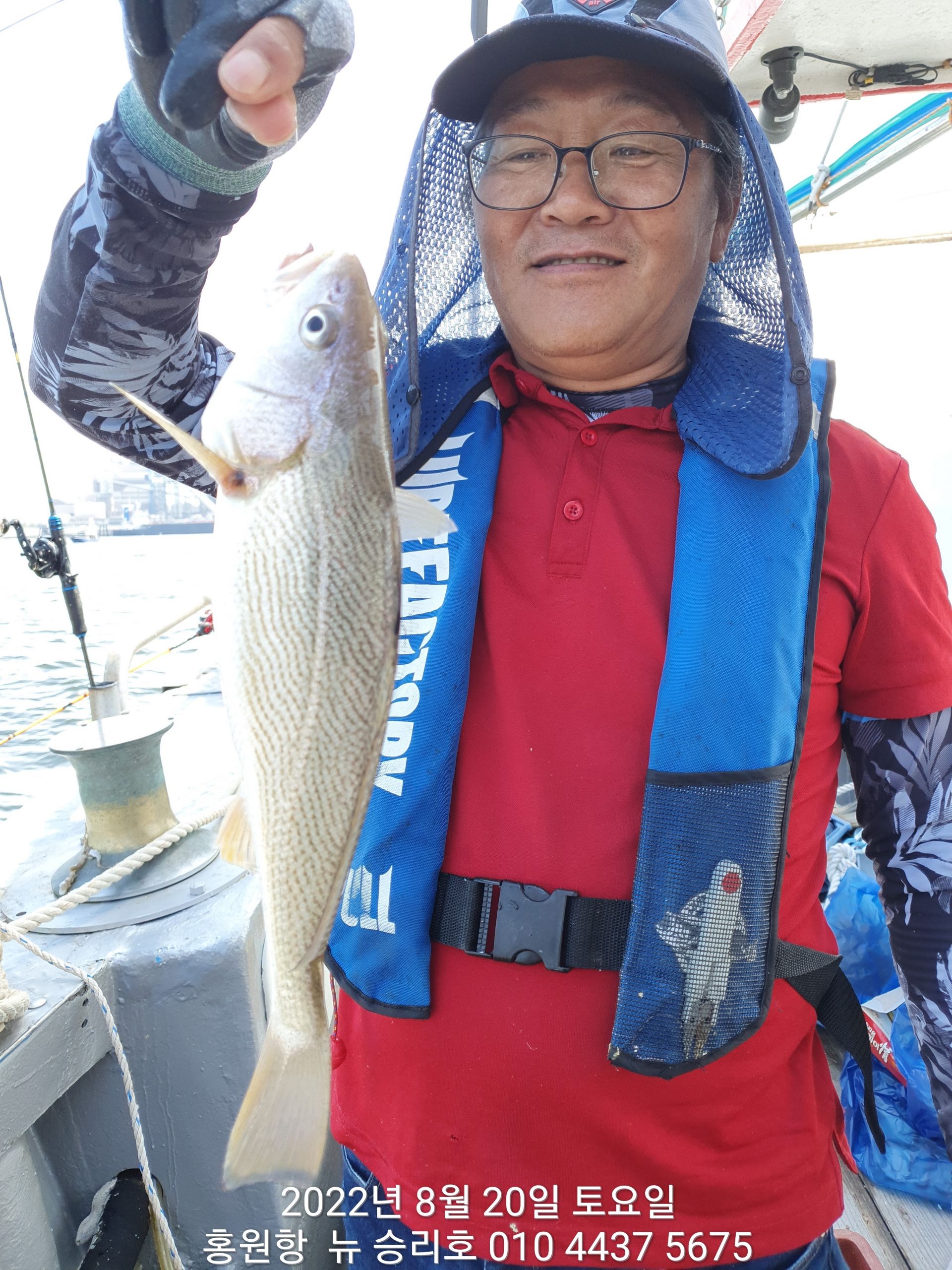 8월20일  홍원항 요포낚시 ^^위풍당당^^ 뉴~승리호 백조기&부서 조황입니자!!