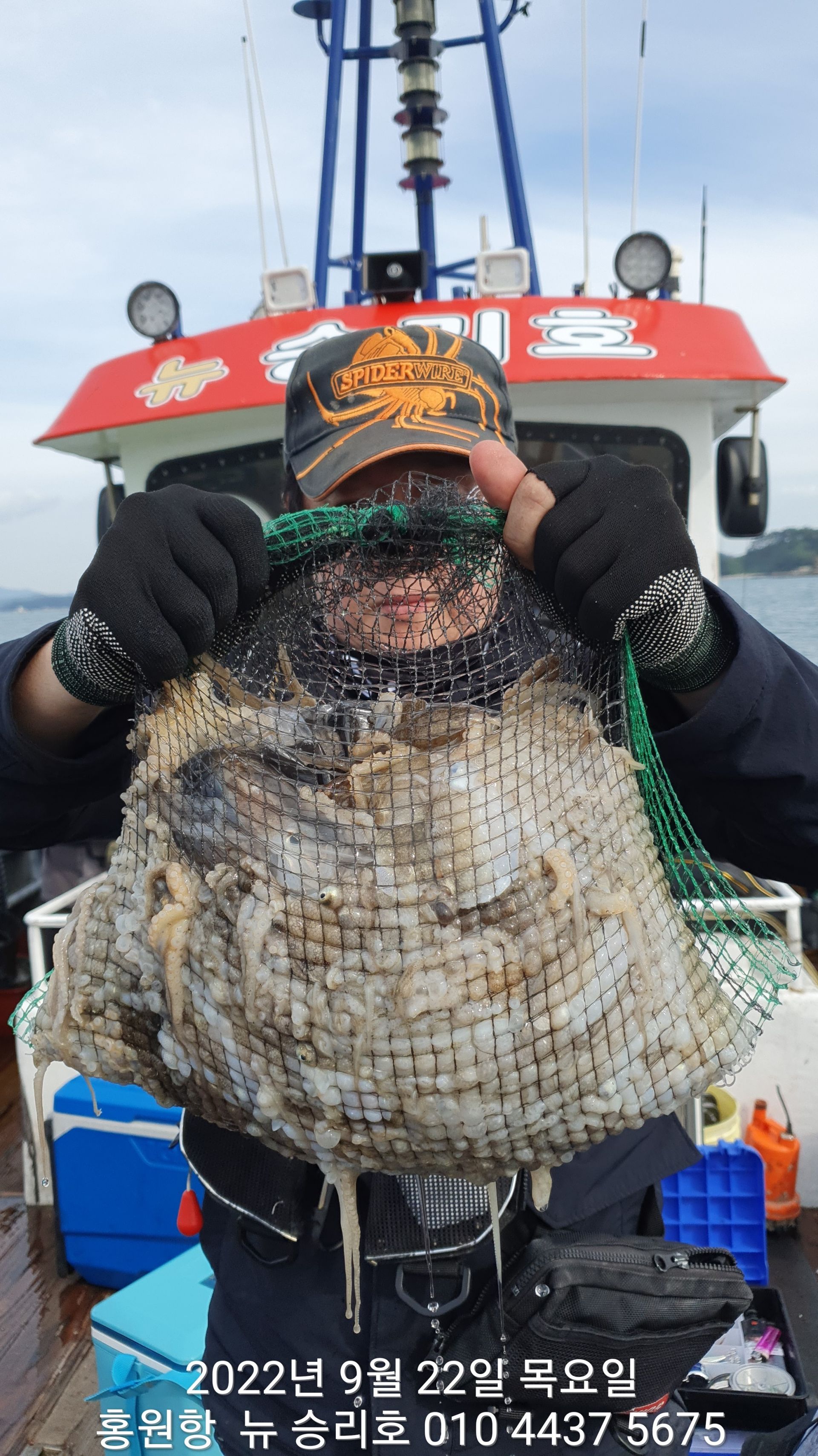 **쭈꾸미** (낚시의 원조 홍원항)  ^위풍당당^ 뉴~ 승리호 9/22 왕~대~박~~망태기 조황입니다!!