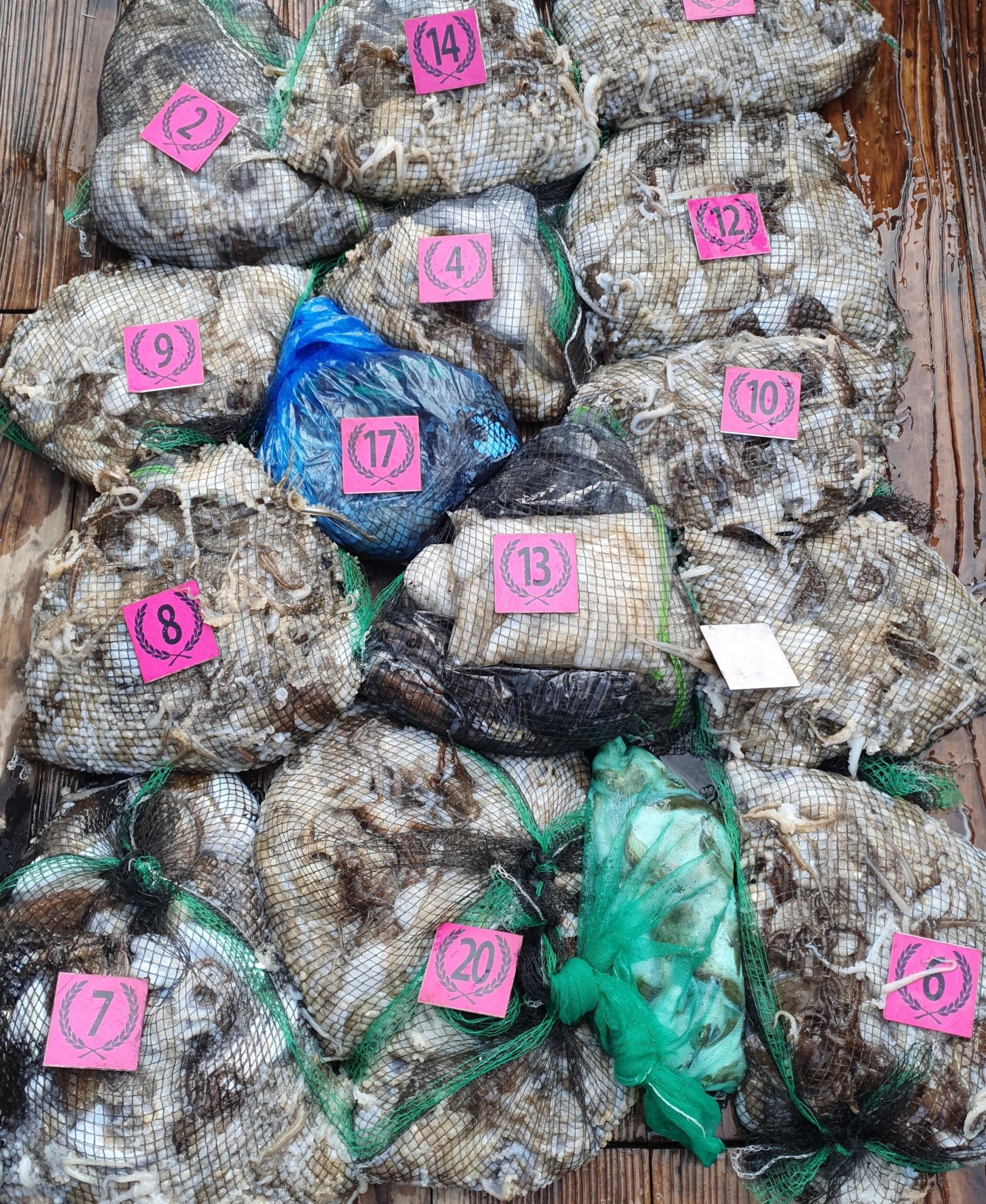 9/16 **쭈꾸미** (낚시의 원조 홍원항) ^^위풍당당^^ 뉴~ 승리호 만~족~한  망태기 조황입니다!!